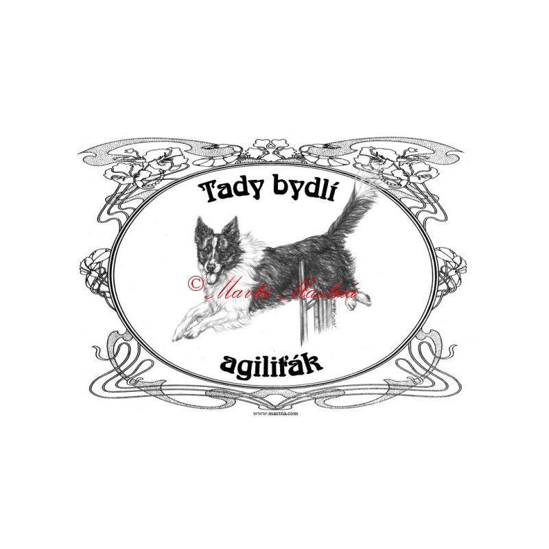 Tabulka border kolie agility