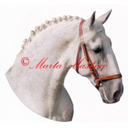 Samolepka kladrubský kůň