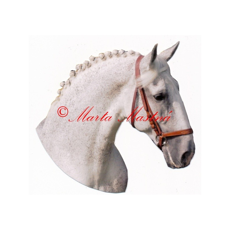 Samolepka kladrubský kůň