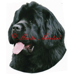 Samolepka novofundlandský pes