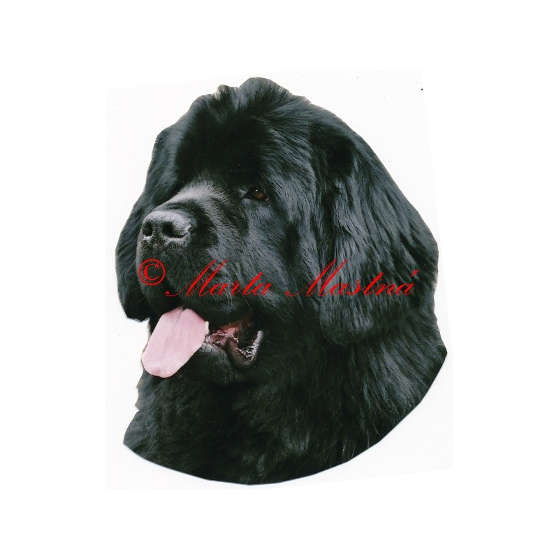 Samolepka novofundlandský pes