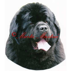 Samolepka novofundlandský pes