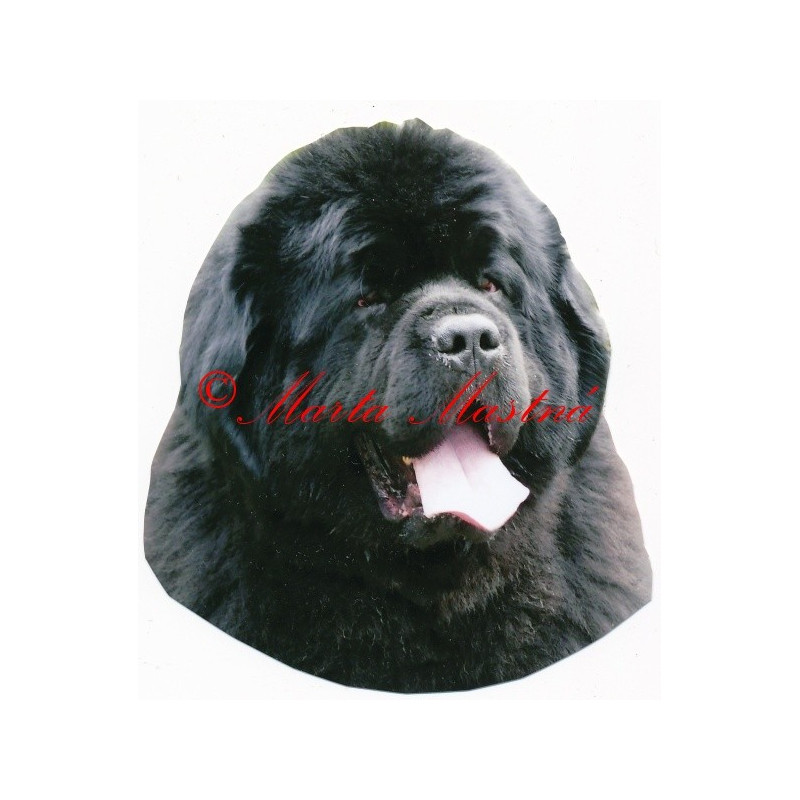 Samolepka novofundlandský pes