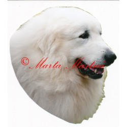 Samolepka pyrenejský horský pes