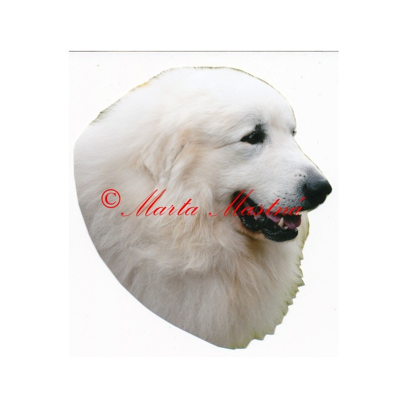 Samolepka pyrenejský horský pes