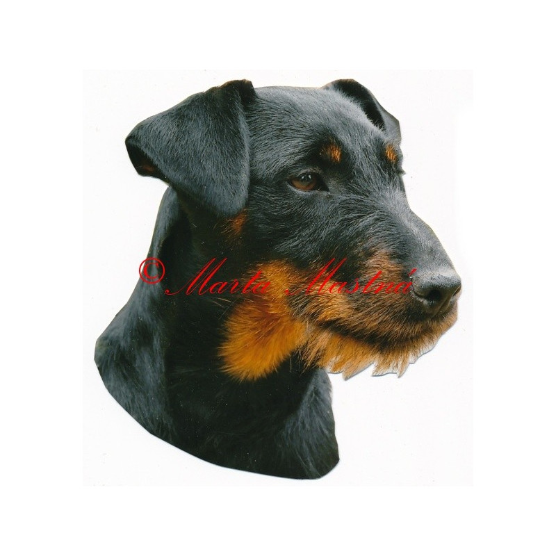 Samolepka německý lovecký teriér, jagdteriér