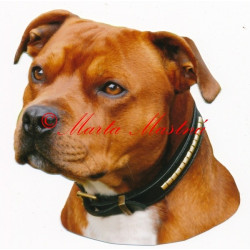 Samolepka stafordšírský bulteriér