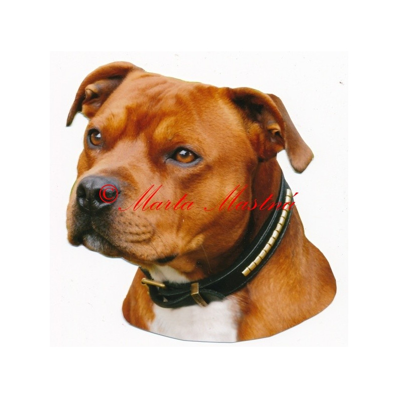 Samolepka stafordšírský bulteriér