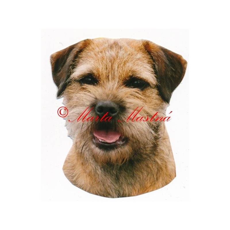 Samolepka borderteriér