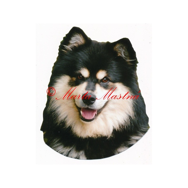 Samolepka lapinkoira