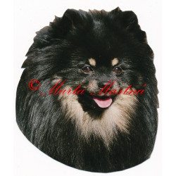 Samolepka německý špïc