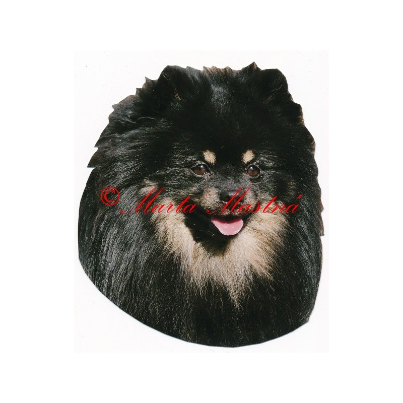 Samolepka německý špïc