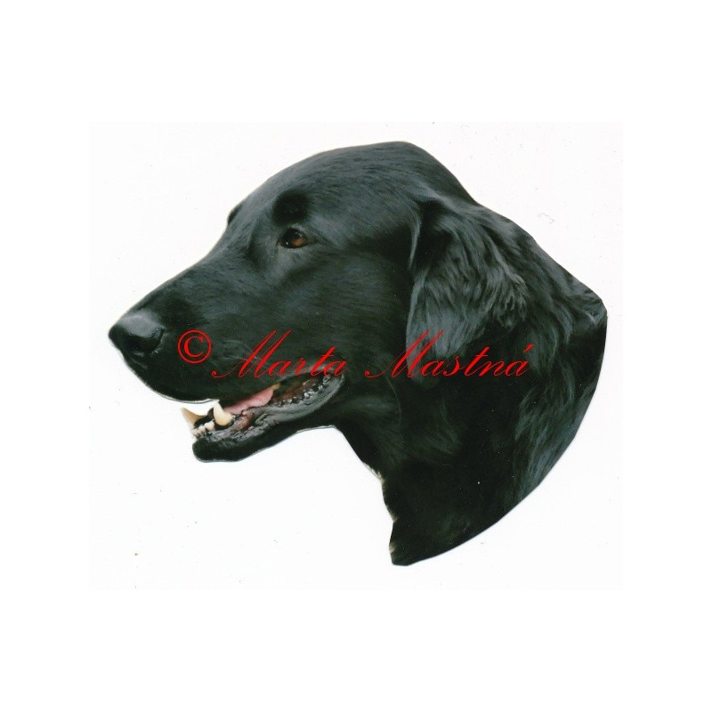 Samolepka flat coated retrívr