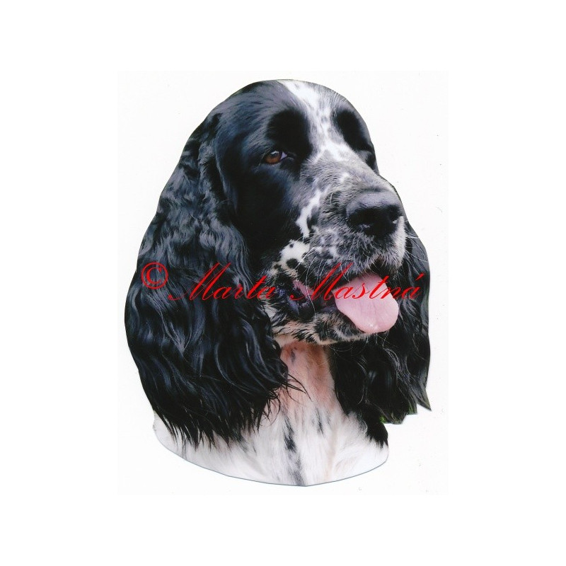 Samolepka špringršpaněl