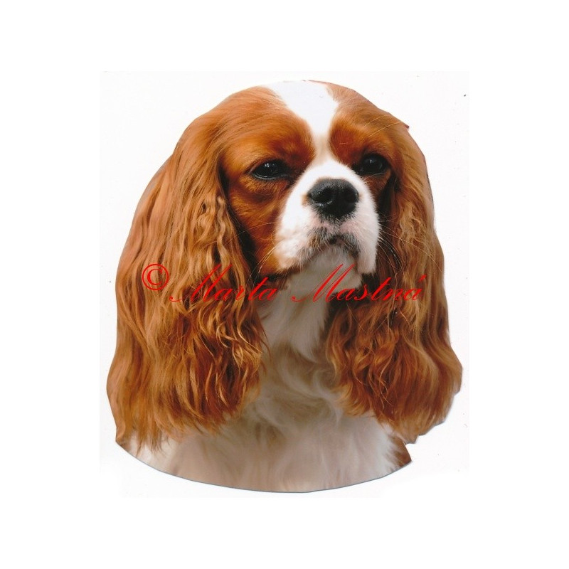 Samolepka kavalír king Charles španěl