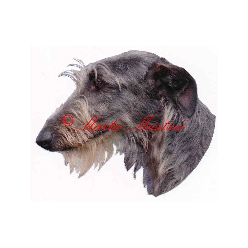 Samolepka skotský jelení pes, deerhound