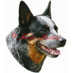 Samolepka australský honácký pes