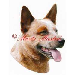 Samolepka australský honácký pes