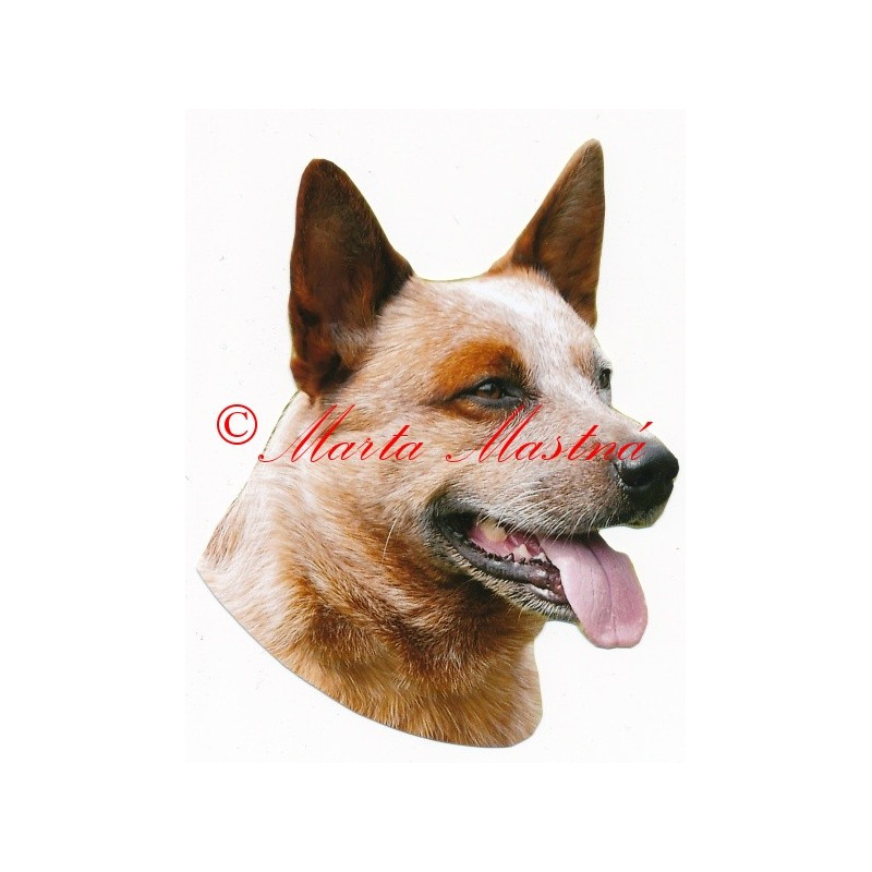 Samolepka australský honácký pes