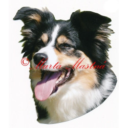 Samolepka border kolie