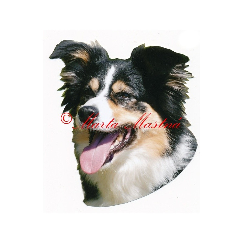 Samolepka border kolie