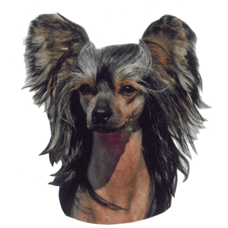 Samolepka čínský chocholatý pes