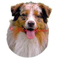 Samolepka australský ovčák archiv