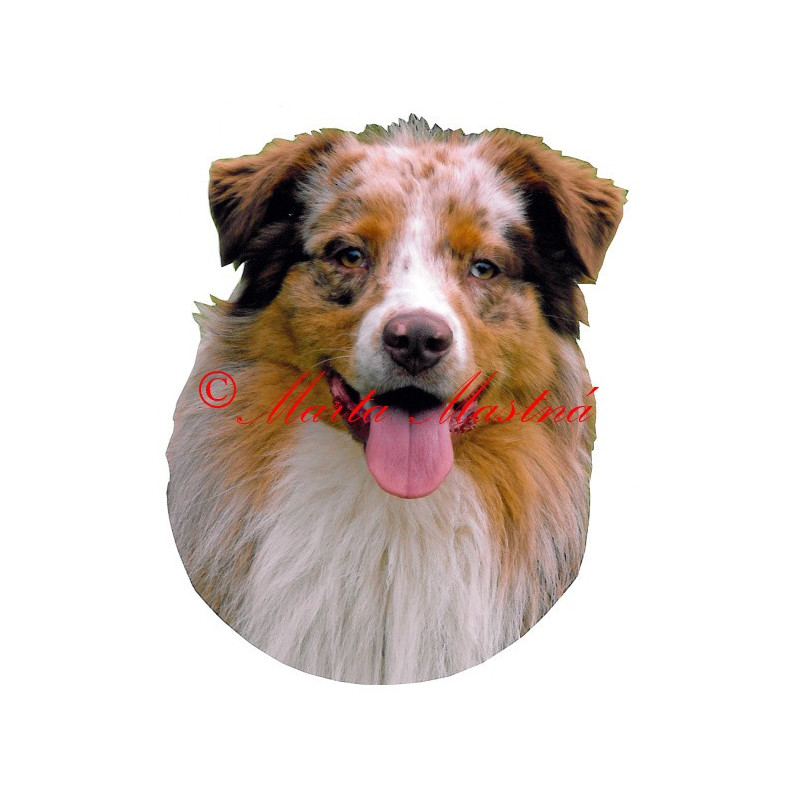 Samolepka australský ovčák archiv