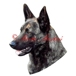 Samolepka holandskýovčák archiv