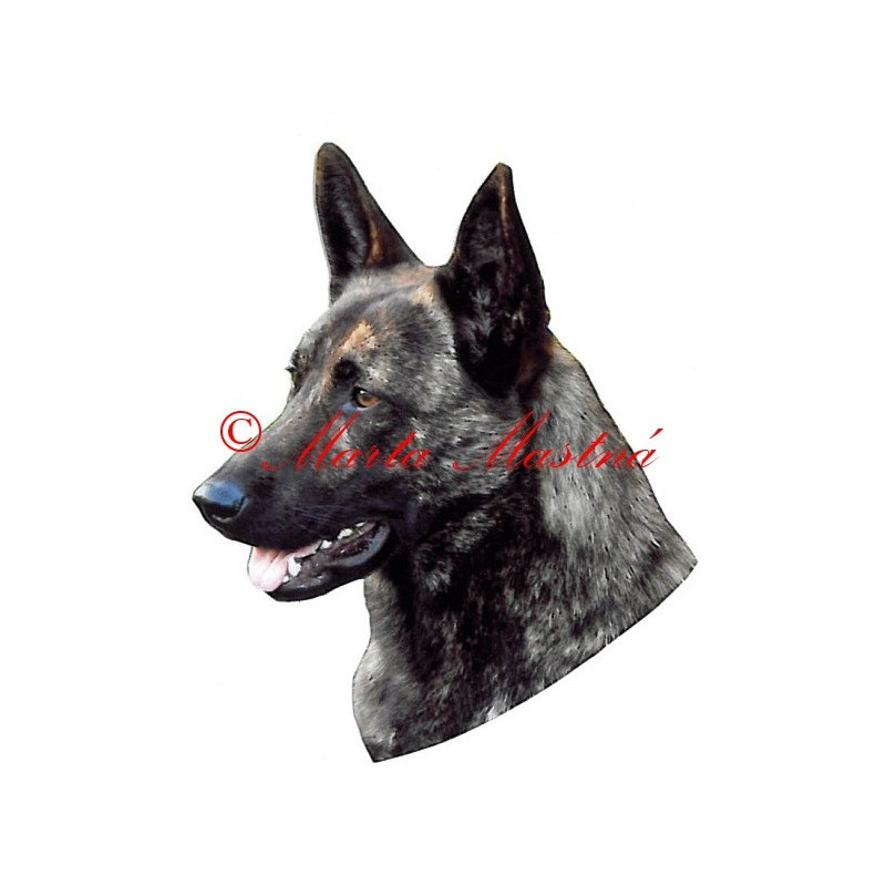 Samolepka holandskýovčák archiv