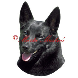 Samolepka australská kelpie archiv