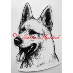 Švýcarský bílý ovčák