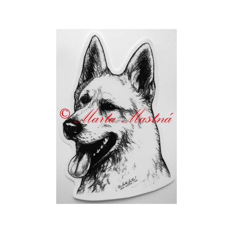 Švýcarský bílý ovčák