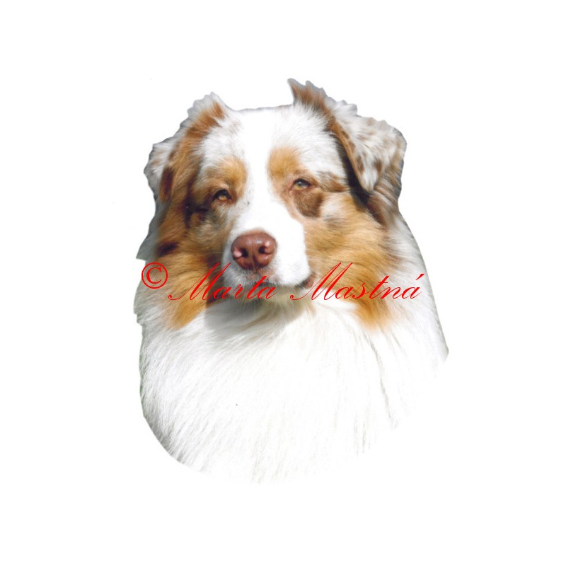 Samolepka australský ovčák archiv