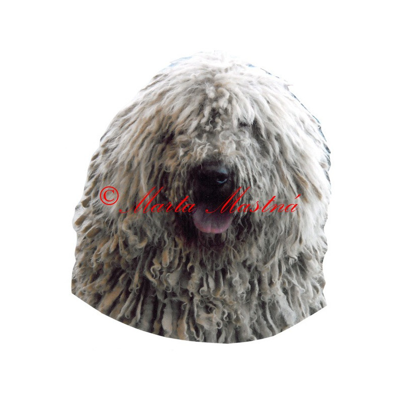 Samolepka komondor archiv