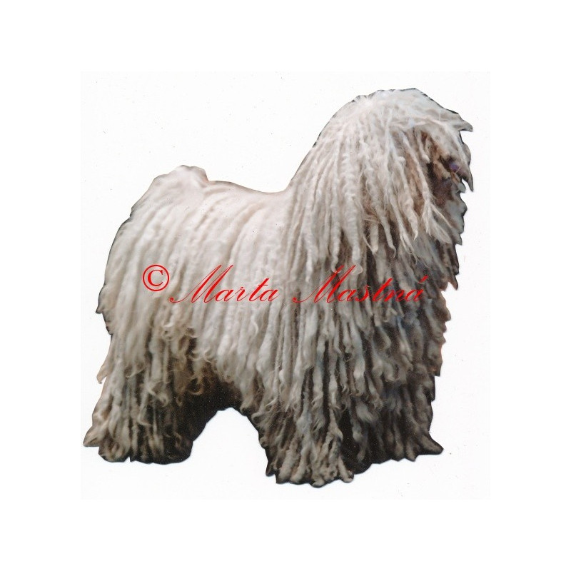 Samolepka puli archiv