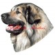 Samolepka šarplaninský, kavkazský pastevecký pes archiv