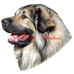 Samolepka šarplaninský, kavkazský pastevecký pes archiv