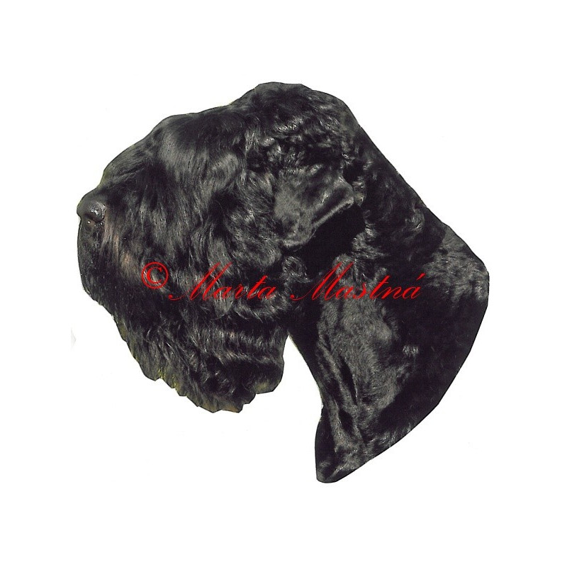 Samolepka černý ruský teriér archiv