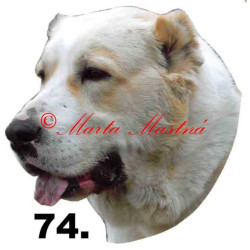 Samolepka středoasijský pastevecký pes, středoasiat archiv