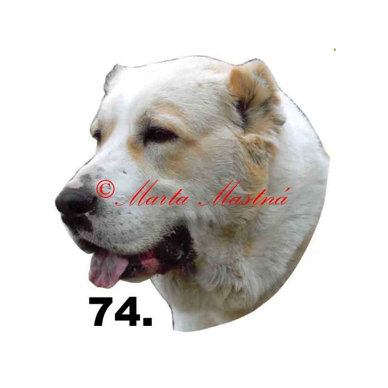 Samolepka středoasijský pastevecký pes, středoasiat archiv