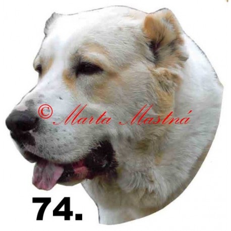Samolepka středoasijský pastevecký pes, středoasiat archiv