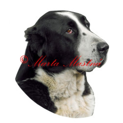 Samolepka středoasijský pastevecký pes, středoasiat archiv