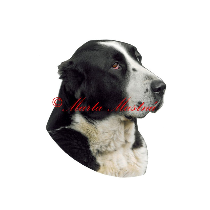 Samolepka středoasijský pastevecký pes, středoasiat archiv