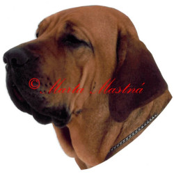 Samolepka brazilská fila archiv