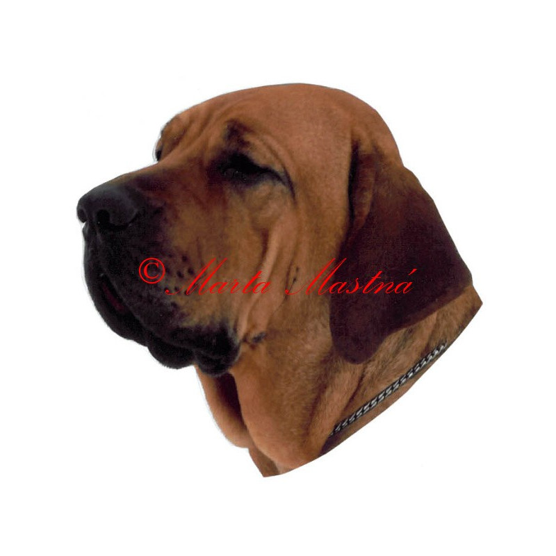 Samolepka brazilská fila archiv