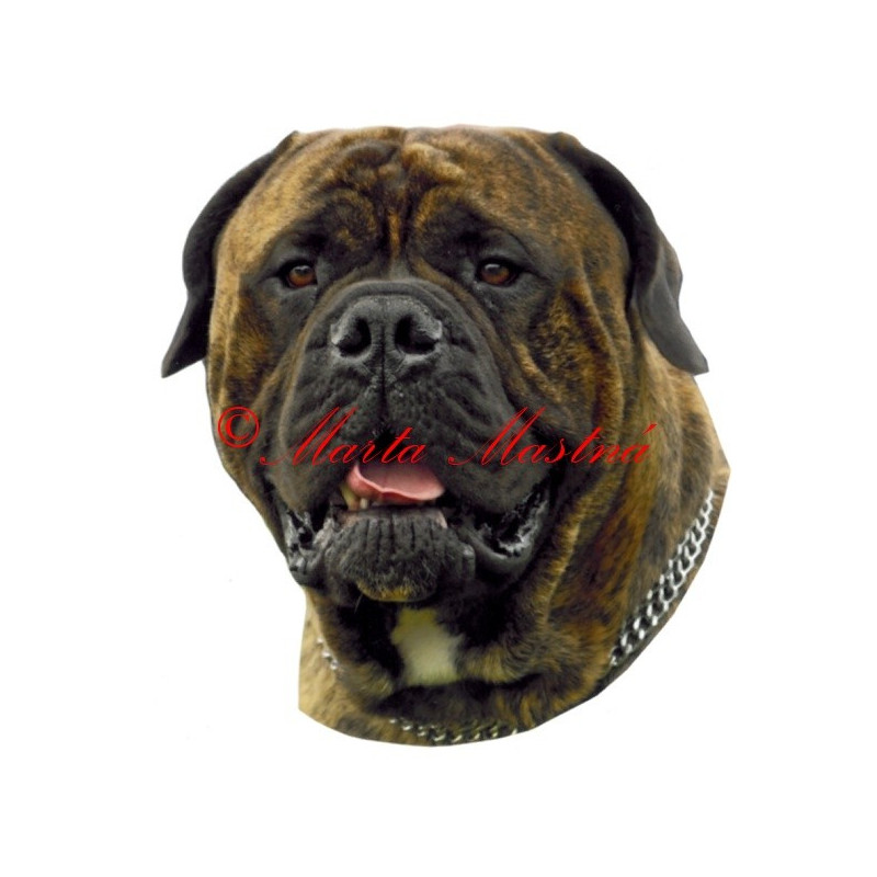 Samolepka bulmastif archiv