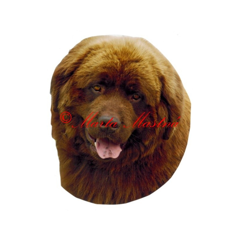 Samolepka novofundlandský pes archiv