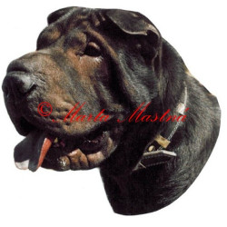 Samolepka šarpej archiv