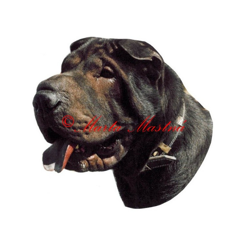 Samolepka šarpej archiv